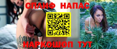 твердый Пугачёв