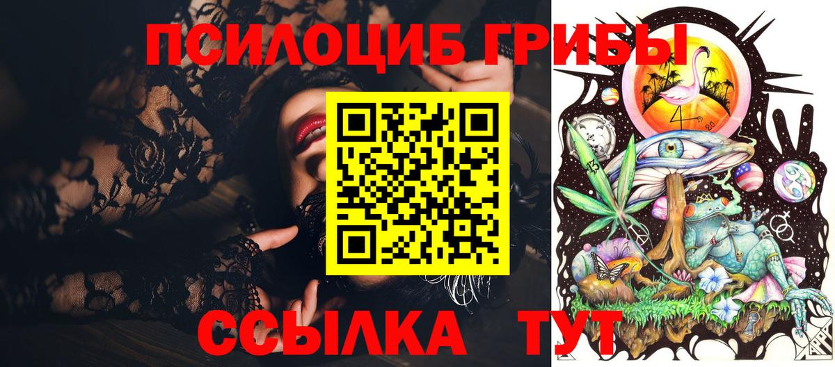 Псилоцибиновые грибы мицелий Сорочинск